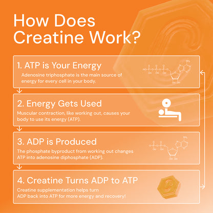 Create Creatine Gummies – 1.5G Creatine Monohydrate per Gummy, Boost Strength & Focus, Orange, 90 Ct